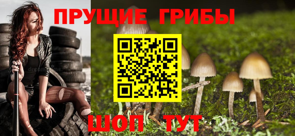 Псилоцибиновые грибы прущие грибы  Вход с VPN  Курчатов 